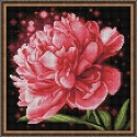 Beldizart Putojantis bijūnas 25x25 cm AZ-1784 Beldizart Putojantis bijūnas 25x25 cm AZ-1784
