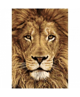 Beldizart Lion 20*30 cm WD068