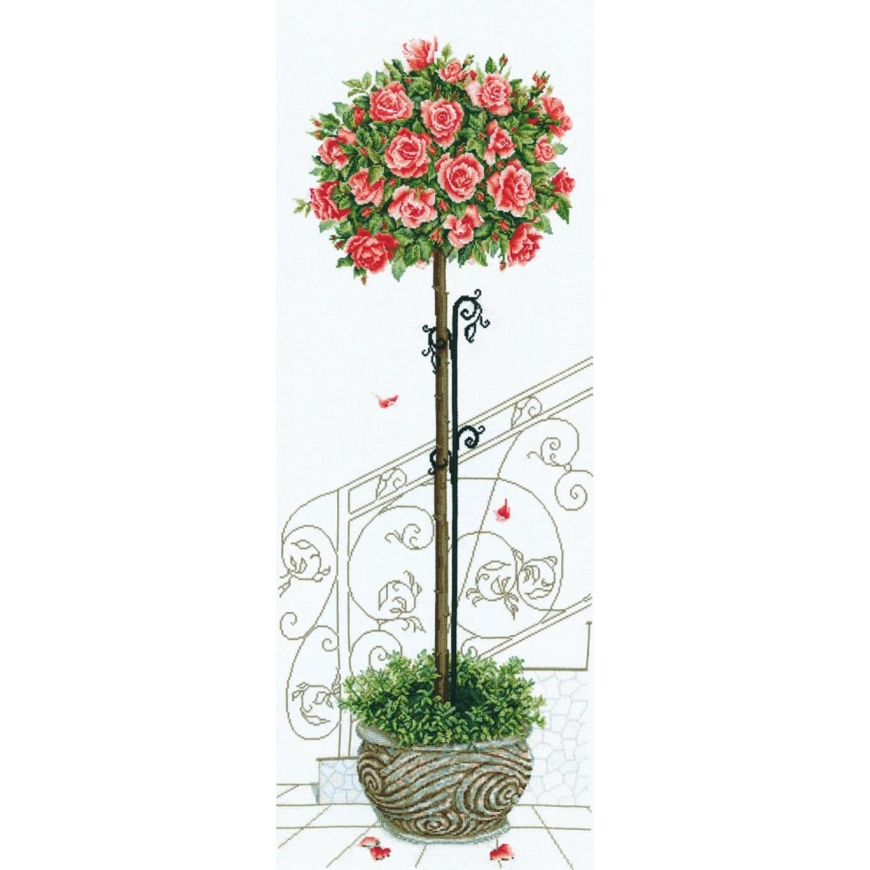 Beldizart Rose tree SANR-17