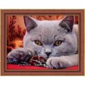 Beldizart British Shorthair 40х30 cm AZ-1715 Beldizart British Shorthair 40х30 cm AZ-1715