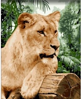 Beldizart Wizardi paint by number kit. Lioness 40x50 cm H151