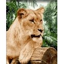 Beldizart Wizardi paint by number kit. Lioness 40x50 cm H151 Beldizart Wizardi paint by number kit. Lioness 40x50 cm H151