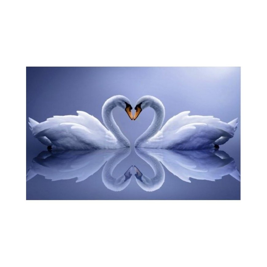 Beldizart Diamond painting kit Swans 50x80