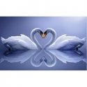 Beldizart Diamond painting kit Swans 50x80 cm AZ-210 Beldizart Diamond painting kit Swans 50x80 cm AZ-210
