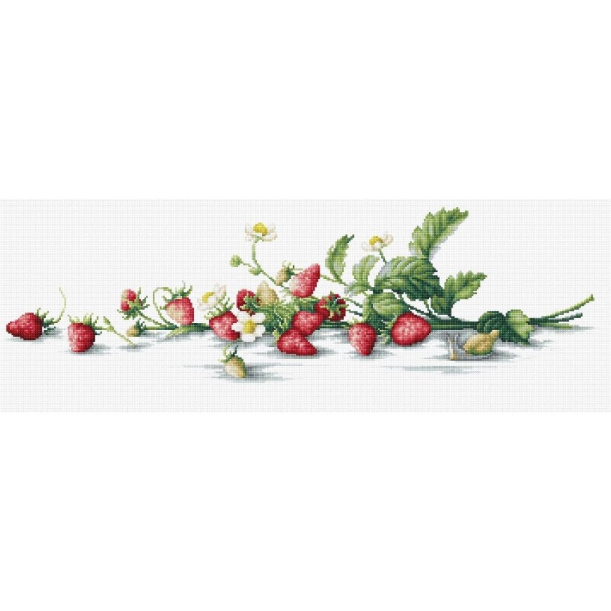 luca S Etude with strawberries SB2266
