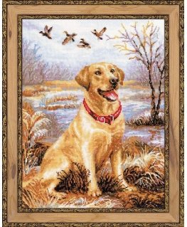 Uab 039039 Riolis039039 Labrador 1399