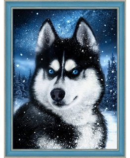 Beldizart Snow Husky 30x40 cm AZ-1804