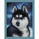 Beldizart Snow Husky 30x40 cm AZ-1804 Beldizart Snow Husky 30x40 cm AZ-1804