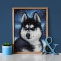 Beldizart Snow Husky 30x40 cm AZ-1804 Beldizart Snow Husky 30x40 cm AZ-1804