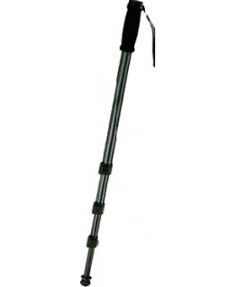 Walimex WT-1003 Must, Hall