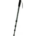 Walimex WT-1003 Must, Hall Walimex WT-1003 Must, Hall