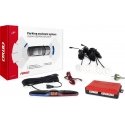 Amio Parking sensor kit, reverse, max LED 4 sensors, black "gold" 18mm