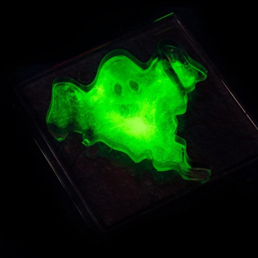 Lisciani Crazy Science - Slime in the dark – 2