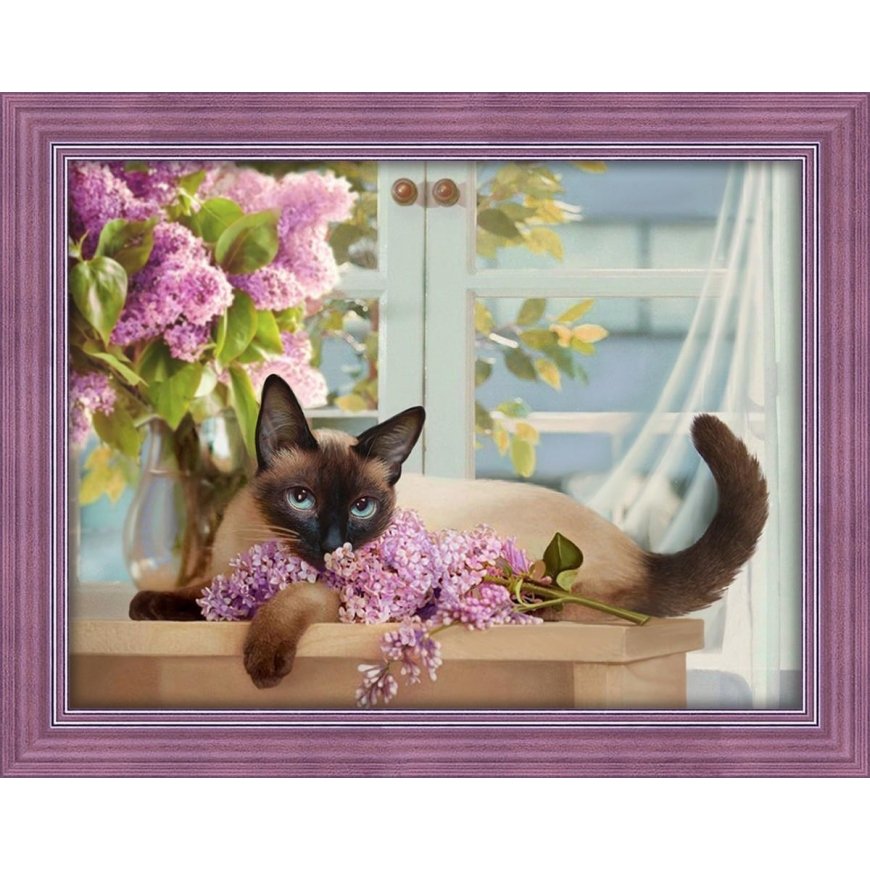 Beldizart Siamo ponia 40x30 cm AZ-1688