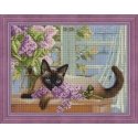 Beldizart Siamo ponia 40x30 cm AZ-1688 Beldizart Siamo ponia 40x30 cm AZ-1688