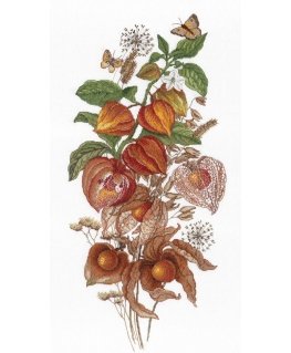 Beldizart Emerald Berry SNV-614