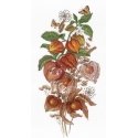 Beldizart Emerald Berry SNV-614 Beldizart Emerald Berry SNV-614