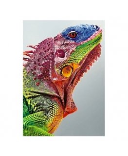 Beldizart Iguana 27*38 cm WD065