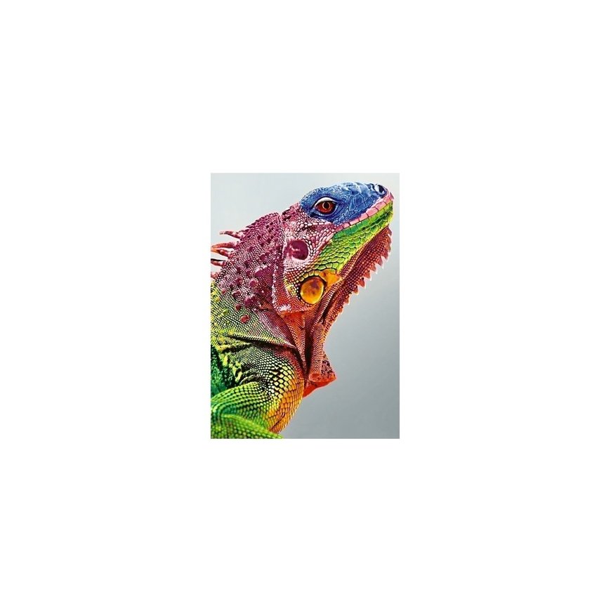 Beldizart Iguana 27*38 cm WD065