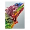Beldizart Iguana 27*38 cm WD065 Beldizart Iguana 27*38 cm WD065