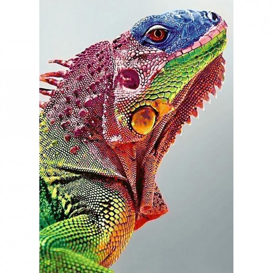 Beldizart Iguana 27*38 cm WD065 – 2