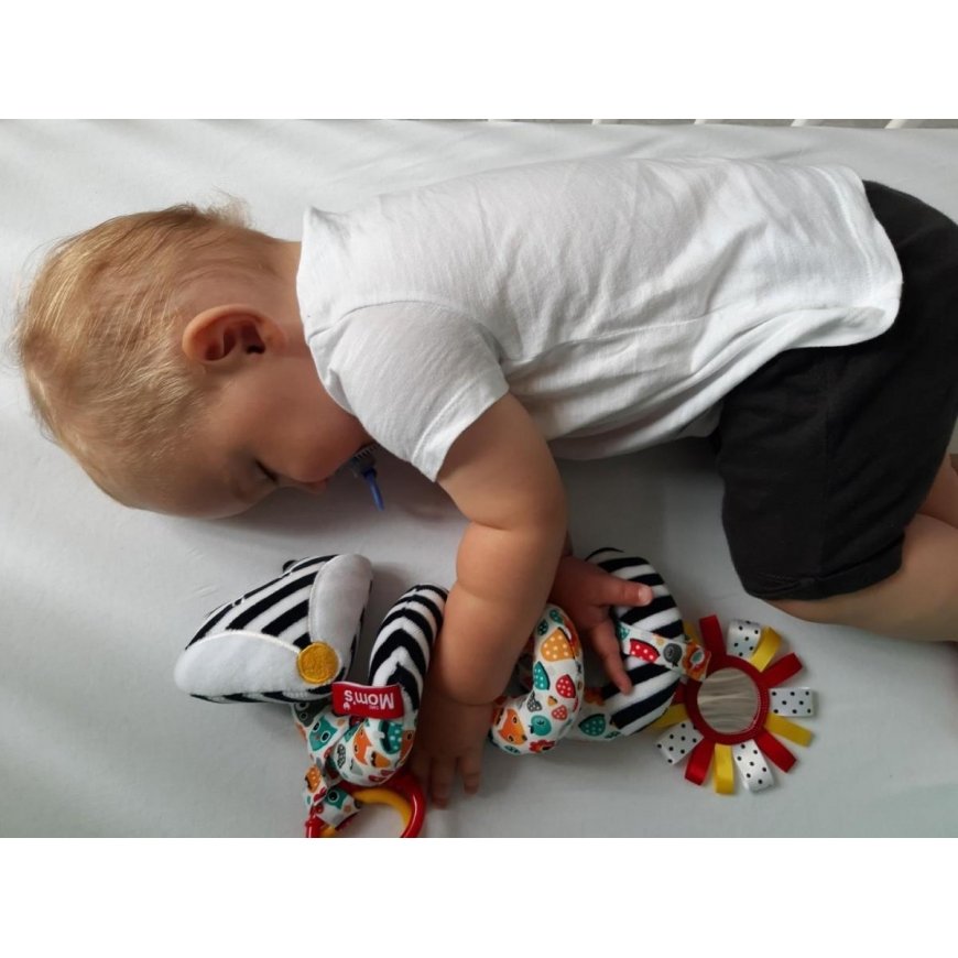 Hencz Toys Hencz Rattle on a pram – 3