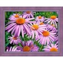 Beldizart Violet daisies 40x30 cm AZ-1702 Beldizart Violet daisies 40x30 cm AZ-1702