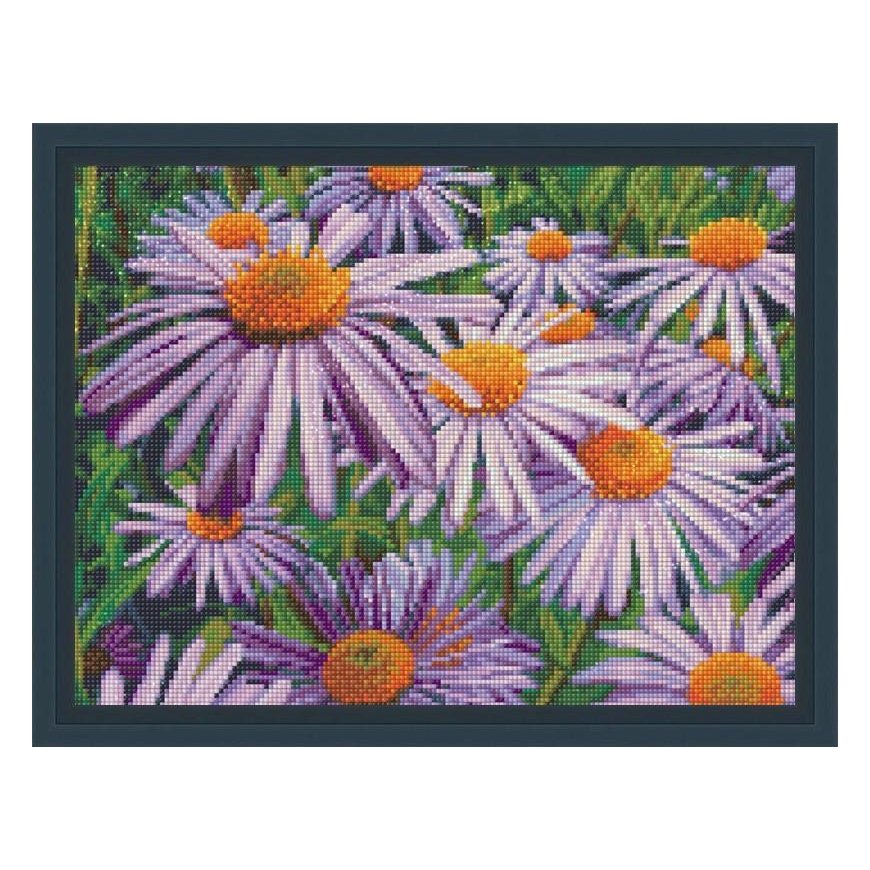 Beldizart Violet daisies 40x30 cm AZ-1702 – 2