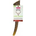 Zolux HARD deer antlers healthy - dogs weighing less than 15 kg