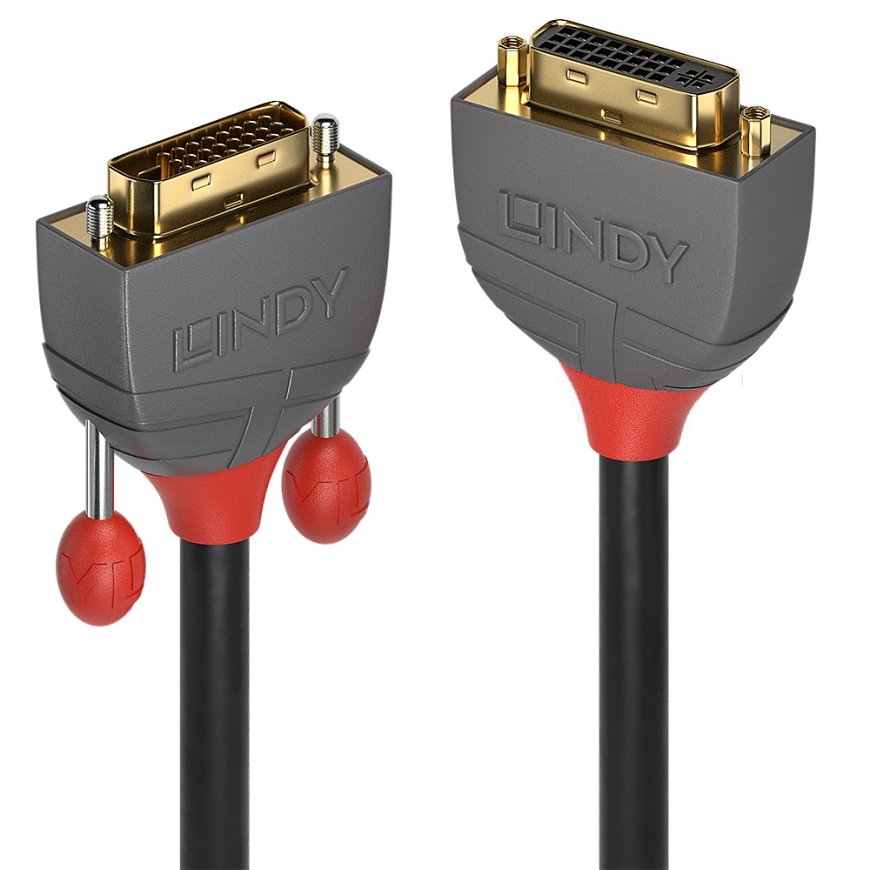 Lindy 36232 DVI kabelis 2 m