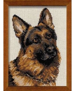 Uab 039039 Riolis039039 German Shepherd 1068