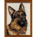 Uab 039039 Riolis039039 German Shepherd 1068