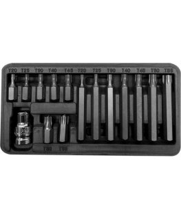 Proline Pro-Line 3/8" Torx T20-T55 Bit Set, 15 Pieces (10745)