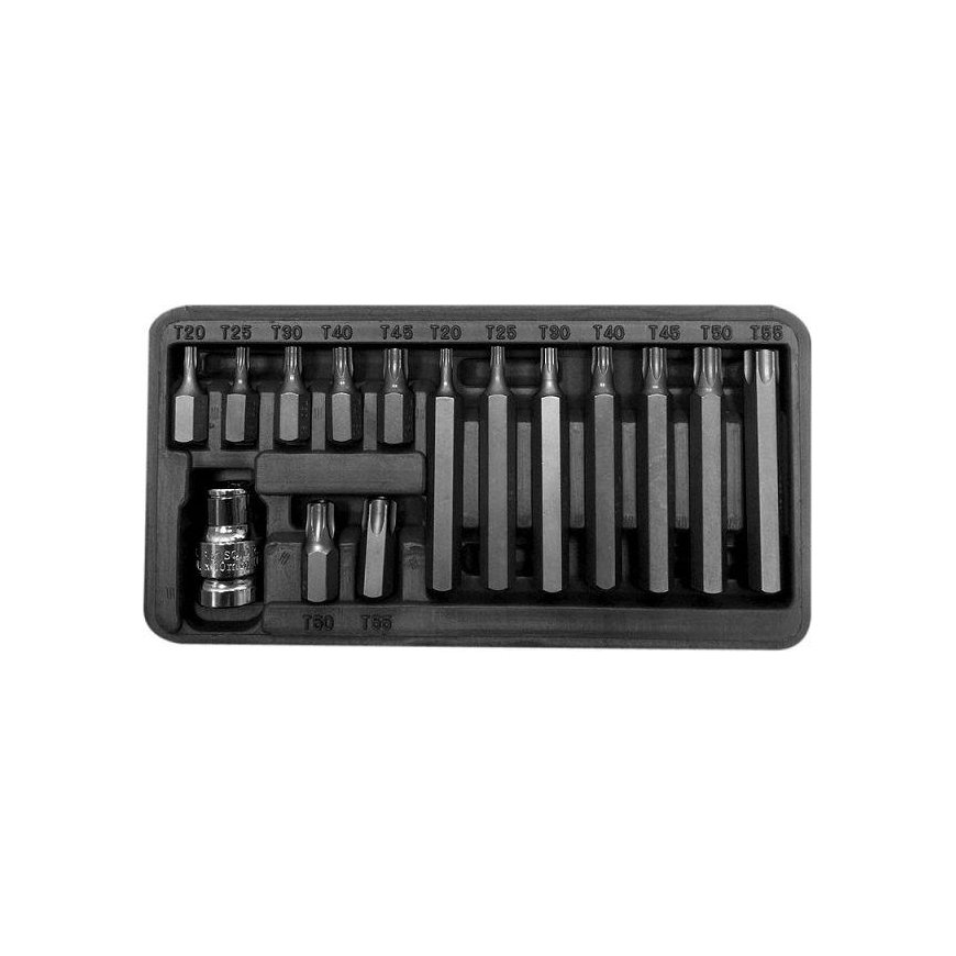 Proline Pro-Line 3/8 "Torx T20-T55 antgalių rinkinys, 15 vienetų (10745)