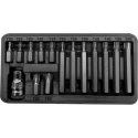 Proline Pro-Line 3/8 "Torx T20-T55 antgalių rinkinys, 15 vienetų (10745) Proline Pro-Line 3/8 "Torx T20-T55 antgalių rinkinys, 15 vienetų (10745)