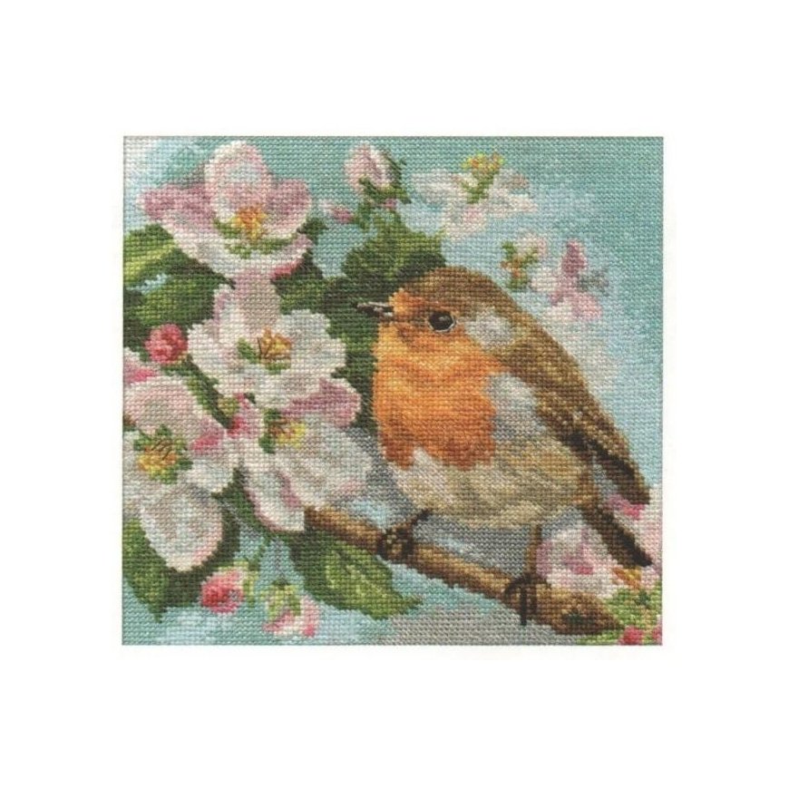 Beldizart Robin S1-20
