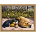 Beldizart Deimantinio dažymo rinkinys "Miegantys gyvūnai" 40*30 cm AM4061 Beldizart Deimantinio dažymo rinkinys "Miegantys gyvūnai" 40*30 cm AM4061