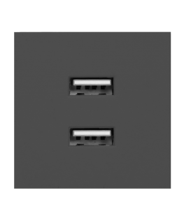 Orno NOEN USB x 2, 45x45 mm dual modular port with USB charger, 2.1A 5V DC, black