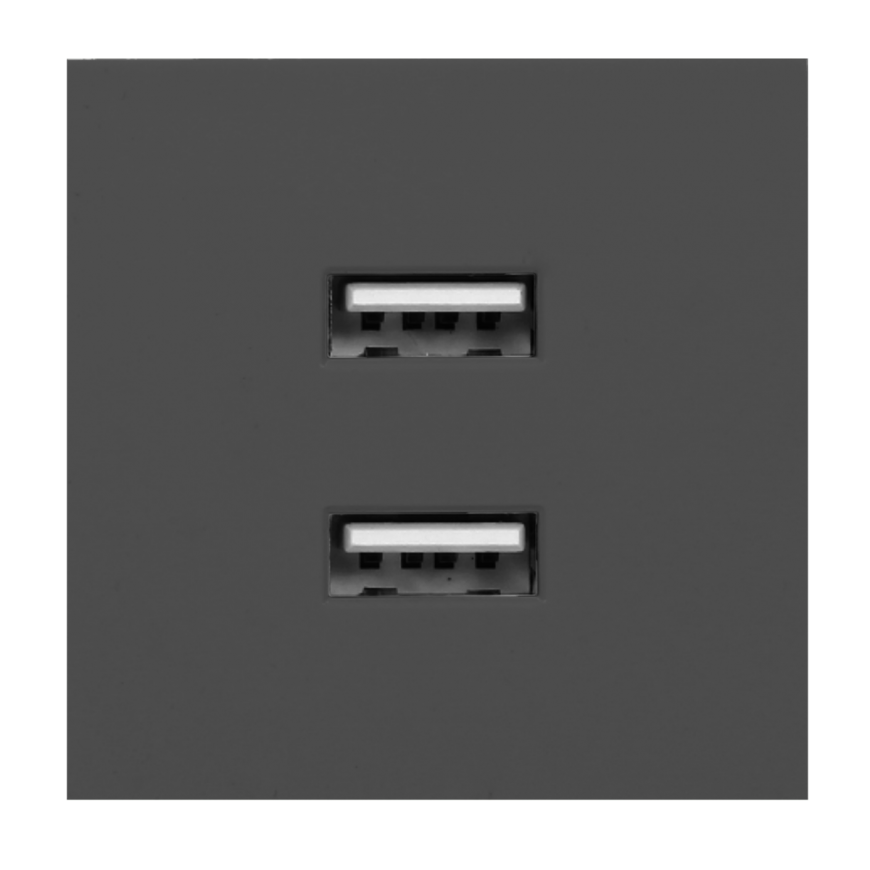 Orno NOEN USB x 2, 45x45