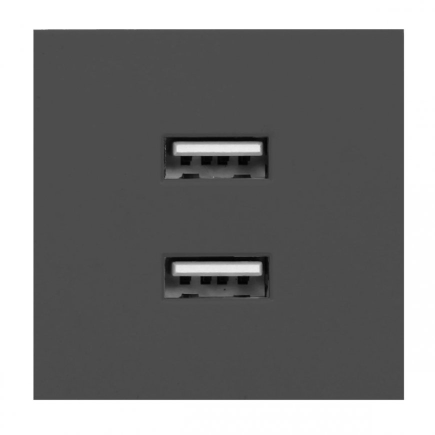 Orno NOEN USB x 2, 45x45 mm dvigubas modulinis prievadas su USB įkrovikliu, 2.1A 5V DC, juoda – 2