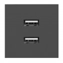 Orno NOEN USB x 2, 45x45 mm dvigubas modulinis prievadas su USB įkrovikliu, 2.1A 5V DC, juoda Orno NOEN USB x 2, 45x45 mm dvigubas modulinis prievadas su USB įkrovikliu, 2.1A 5V DC, juoda