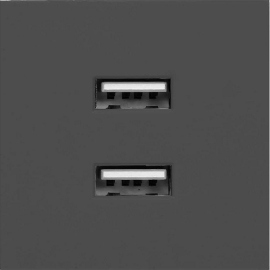 Orno NOEN USB x 2, 45x45 mm dual modular port with USB charger, 2.1A 5V DC, black – 3