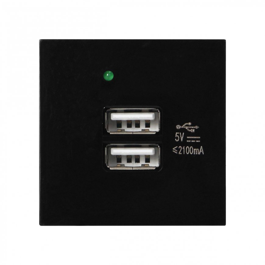 Orno NOEN USB x 2, 45x45 mm dual modular port with USB charger, 2.1A 5V DC, black – 4