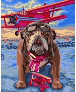 Beldizart Wizardi Painting by Numbers Kit Pilot 40x50 cm H064
