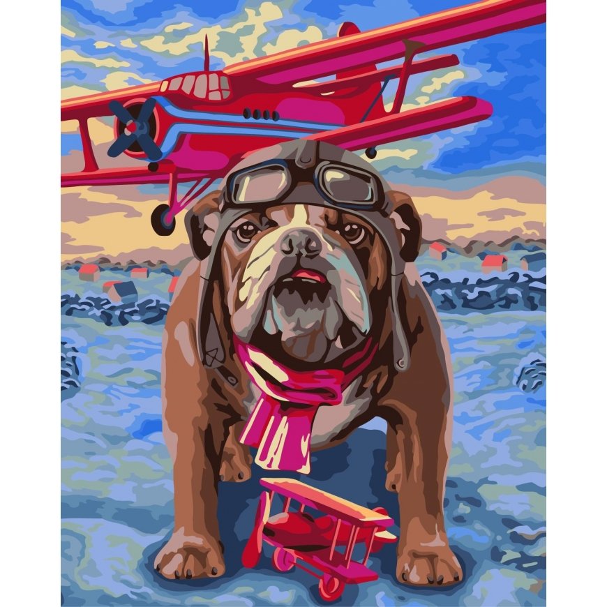 Beldizart Wizardi Painting by Numbers Kit Pilot 40x50 cm H064