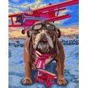 Beldizart Wizardi Painting by Numbers Kit Pilot 40x50 cm H064
