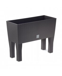 Prosperplast Pot with insert Wheel case High DRTC600H umbra