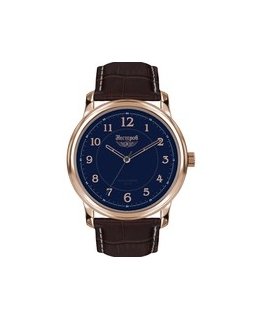 Clock Watches NESTEROV H2491A02-blue