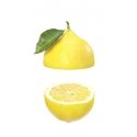Weleda 4001638088275 Dušas želeja un ķermeņa mazgāšanas līdzeklis Dušas krēms Sievietes Korpuss Citr Weleda 4001638088275 Dušas želeja un ķermeņa mazgāšanas līdzeklis Dušas krēms Sievietes Korpuss Citr