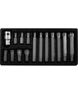 Proline Pro-Line 3/8 "1/2" Ribe Torx bit set 42 pieces (10747)